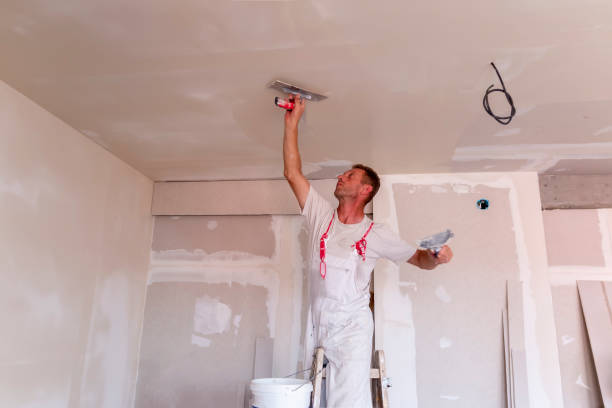 Best Residential Painting Experts  in USA