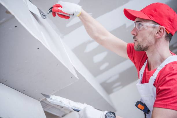 Best Professional Drywall Finishing  in USA